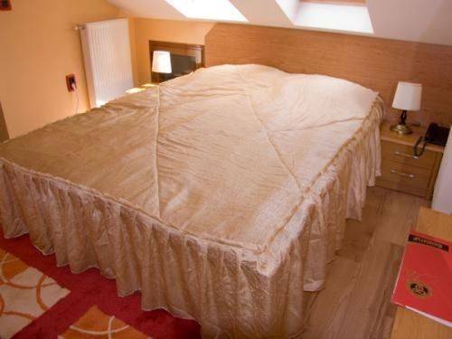 Фото Отели Family Hotel Silvestar Велико-Тырново 40